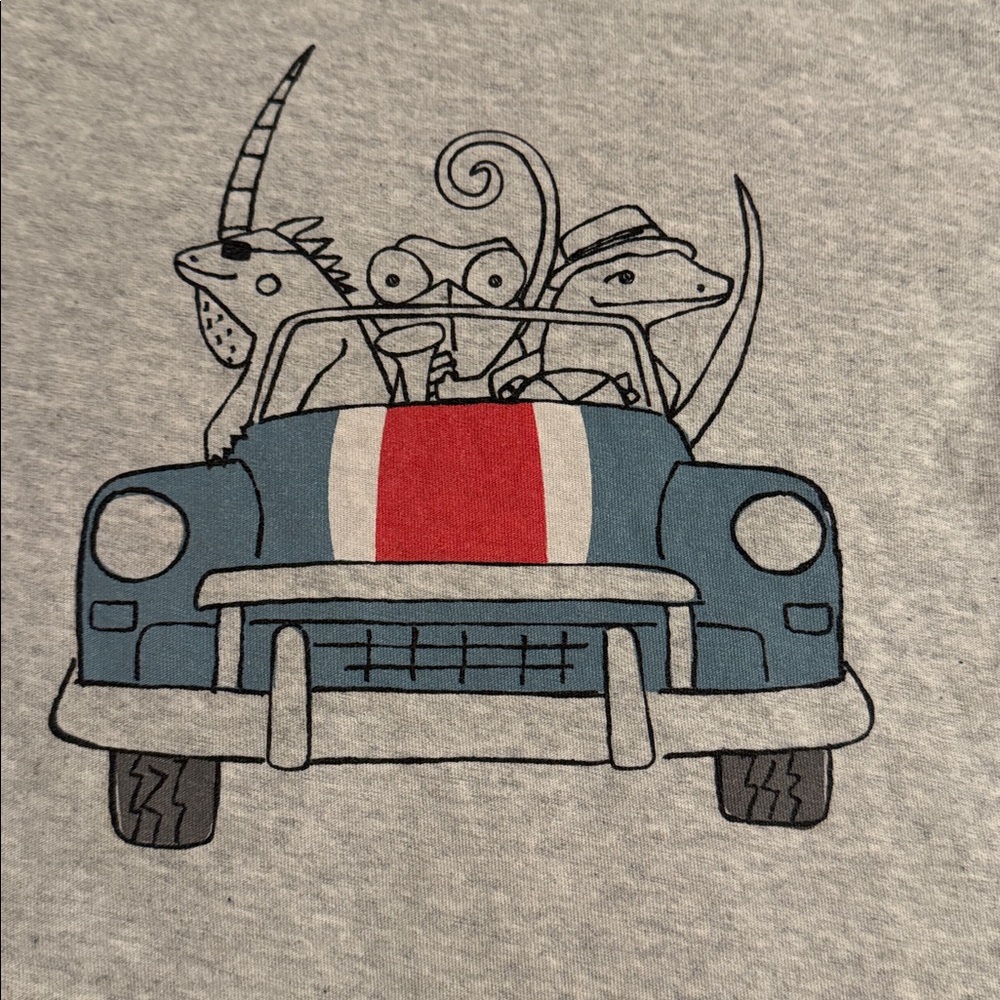 Tea Collection Lizard Convertible Car Graphic Tee Kids Size 5 Gray Short Sleeve - Picture 3 of 5